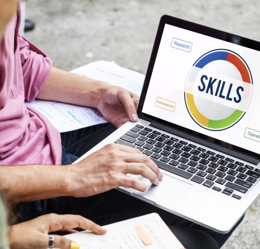 Transferable skills-identifying and leveraging them